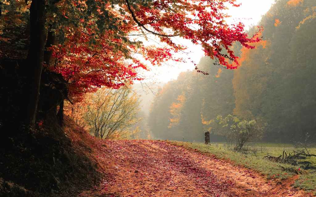 Autumn walks in Winchester