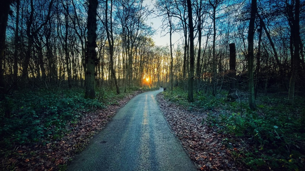 Walking to think