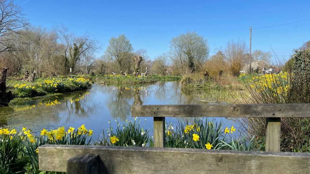 Nature vs a civilised&nbsp;life