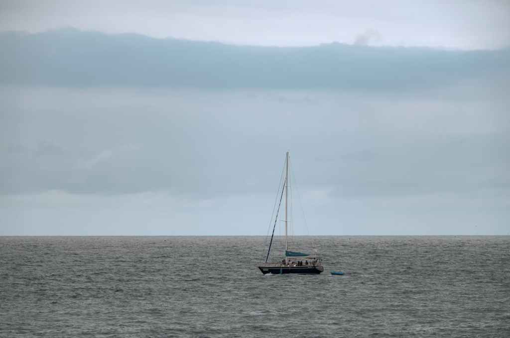 Waiting for wind