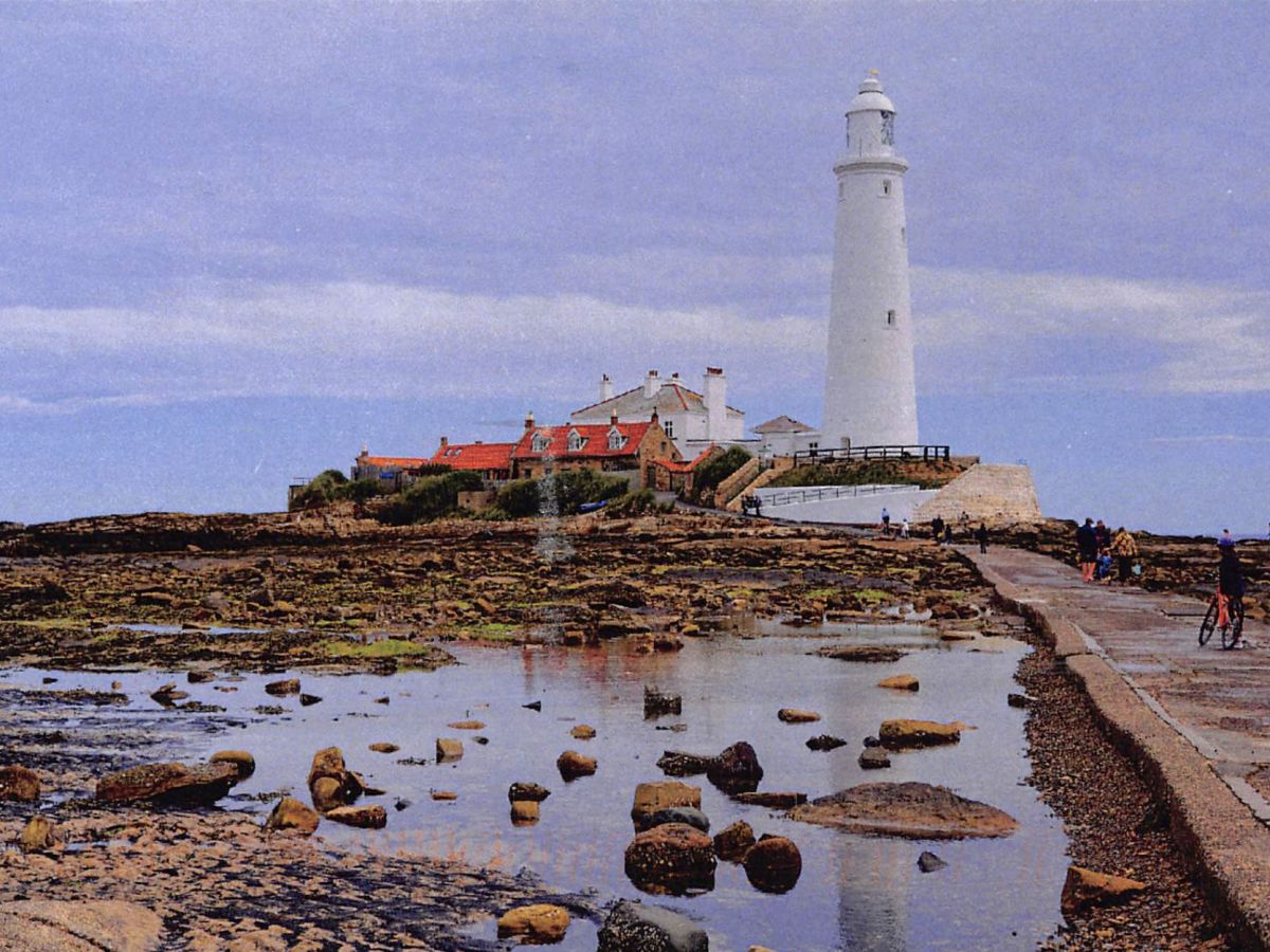 Tide and Seek